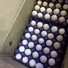 بيض بلدي مائده