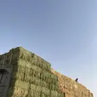 سطحه للنقل تريلة