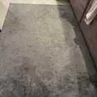 سجاد لون زيتي 230x160