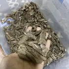 عود مروكي اصقون طبيعي مني دبل ودبل مرتفع