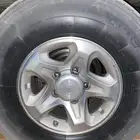 جنوط شاص رفرف وكالة