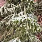 عطرة وإكليل الجبل ميرمية نعناع