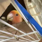 بسم الله ماشاءالله زوج روز منتج انت عندي قبل اربع مرات