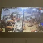 طائفية نوادر جدة حري نجدي سواكني