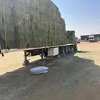 سطحه الماني