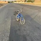 رامبو ازرق اندنوسي