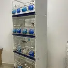 قفص للبيع