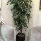 شجره زينه