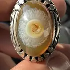 سليماني هندي فلور