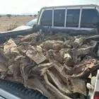 صندوق هايلكس غمارتين