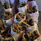 خياش حطب مستورد
