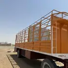 قلص