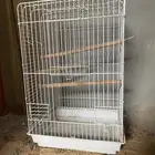 اقفاص لطيور المغرده والكناري