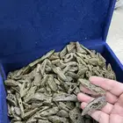 عرض كلمنتان لايفوتك تصفيه جملة