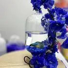 سمك فايتر مع الفازه مع التنسيق