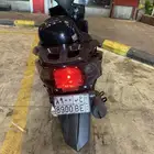 دباب الوسام الناري 2025