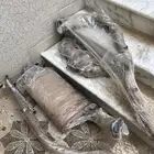 للبيع هدرز كامل وكاله باترول 4500 كلبليتر