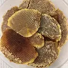 شمع عسل طلح