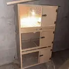 حضانه فروح فقاسه جديده
