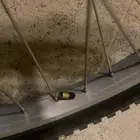 سيكل رامبو اندنيسي