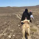 يوجد طبع قعدان