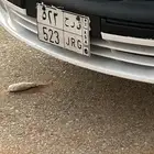 لوحه خصوصي للبيع