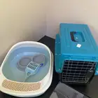 اغراض قطط