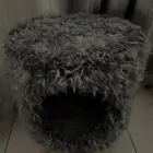 بيت للقطط