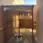 شبك طيور وحيوانات
