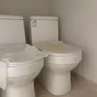 فارنجي جديد