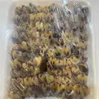 طيور دخل مصري منظف من الداخل