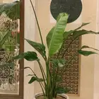 احواض   مراكن