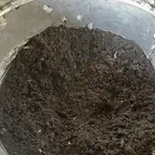 نفض
