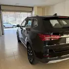 2019 RX5 MG