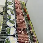 معلم مشويات