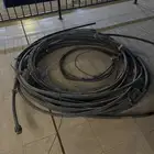 ليات ثيل