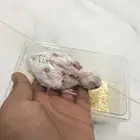 فرخ روز غر البينو