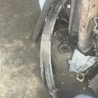 سست شاص 11 ريشه اصلي