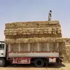 تبن بر صافي