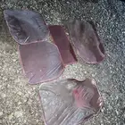التيما قطع