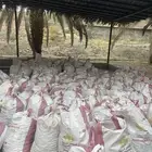 إكياس تمر حلال نضيف مضمون للبيع
