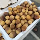 تمر ورثانه حبة فاخرة