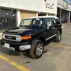 اف جي مديل 2009