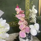 هدايا زواجات وأفراح بسعر ممتاز
