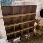 مخفق16فتحه عا السوم