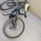 سيكل رياضي. فيه غيرات. سبعه او ثمانيه. استخدام اربع شهور