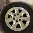 جنوط باجيرو وكالة