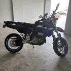 دباب dr.z400 2024