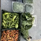 منتجات عضوية زراعية للبيع انتاج المزرعة