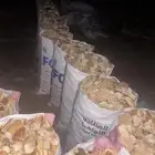 خبز يابس نظيف